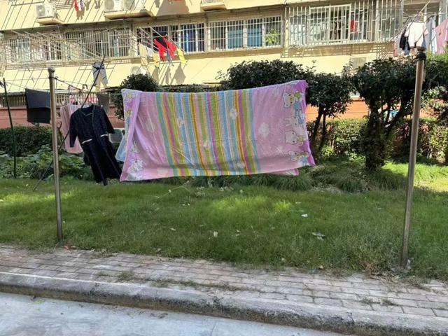 聚向心力提升居民幸福感k8凯发一触即发文明凝(图2)